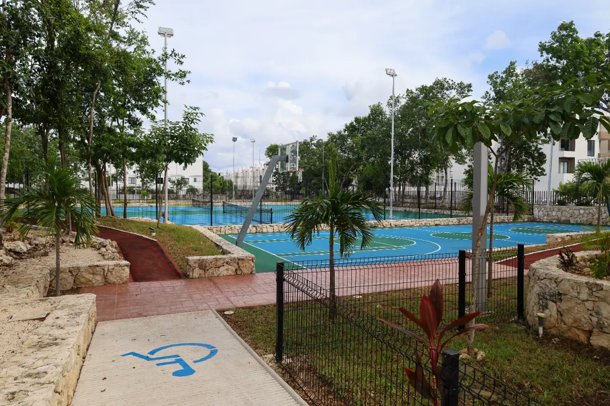 image5