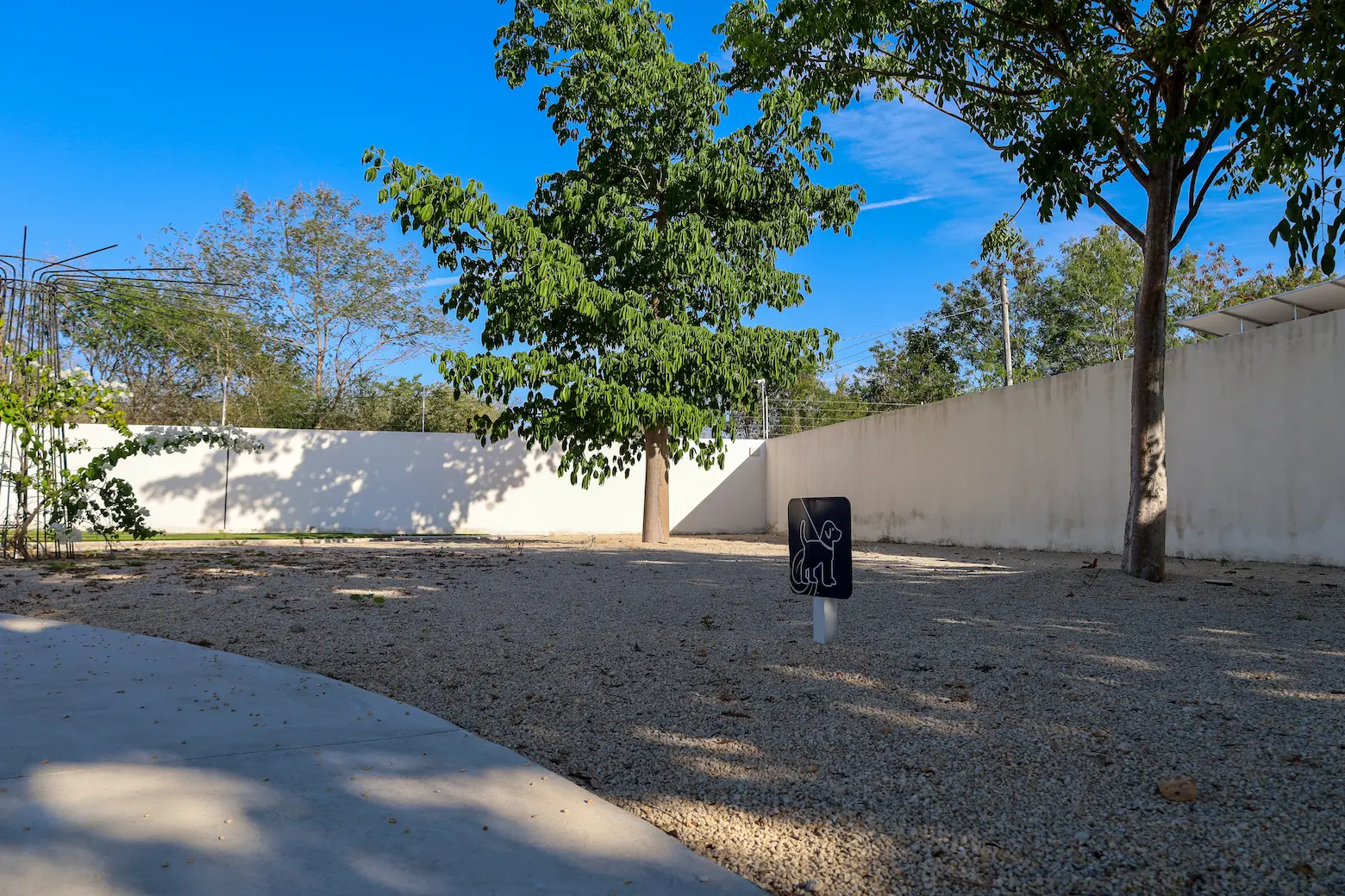 image6