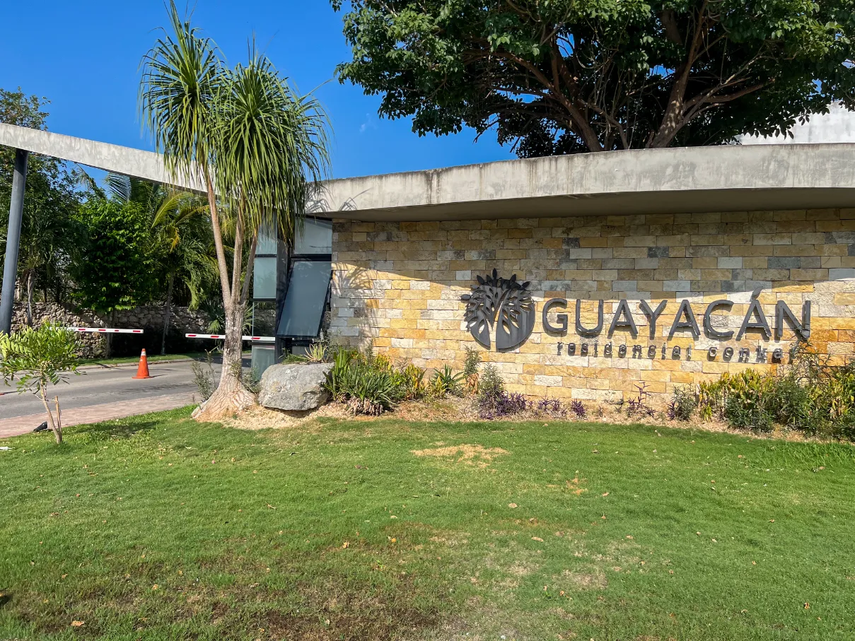 Guayacán principal